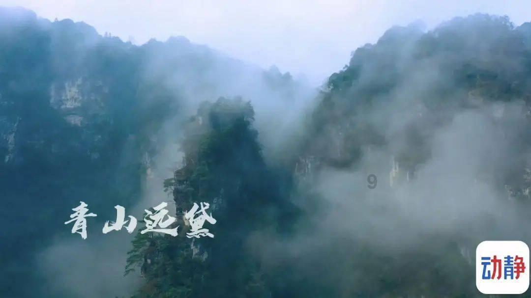 专业知识问答网页