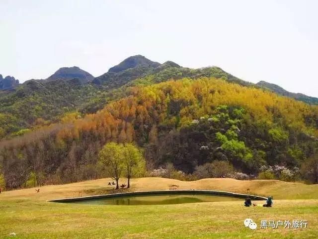 冷知识分享平台公墓有风水好坏吗,揭秘生活中的冷知识